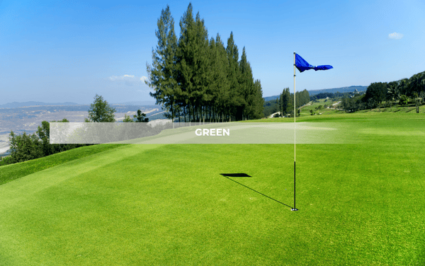 green-la-gi-trong-golf