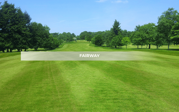 fairway-la-gi-trong-golf