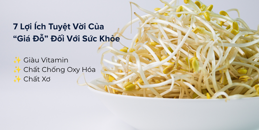 Lợi ích của giá đỗ